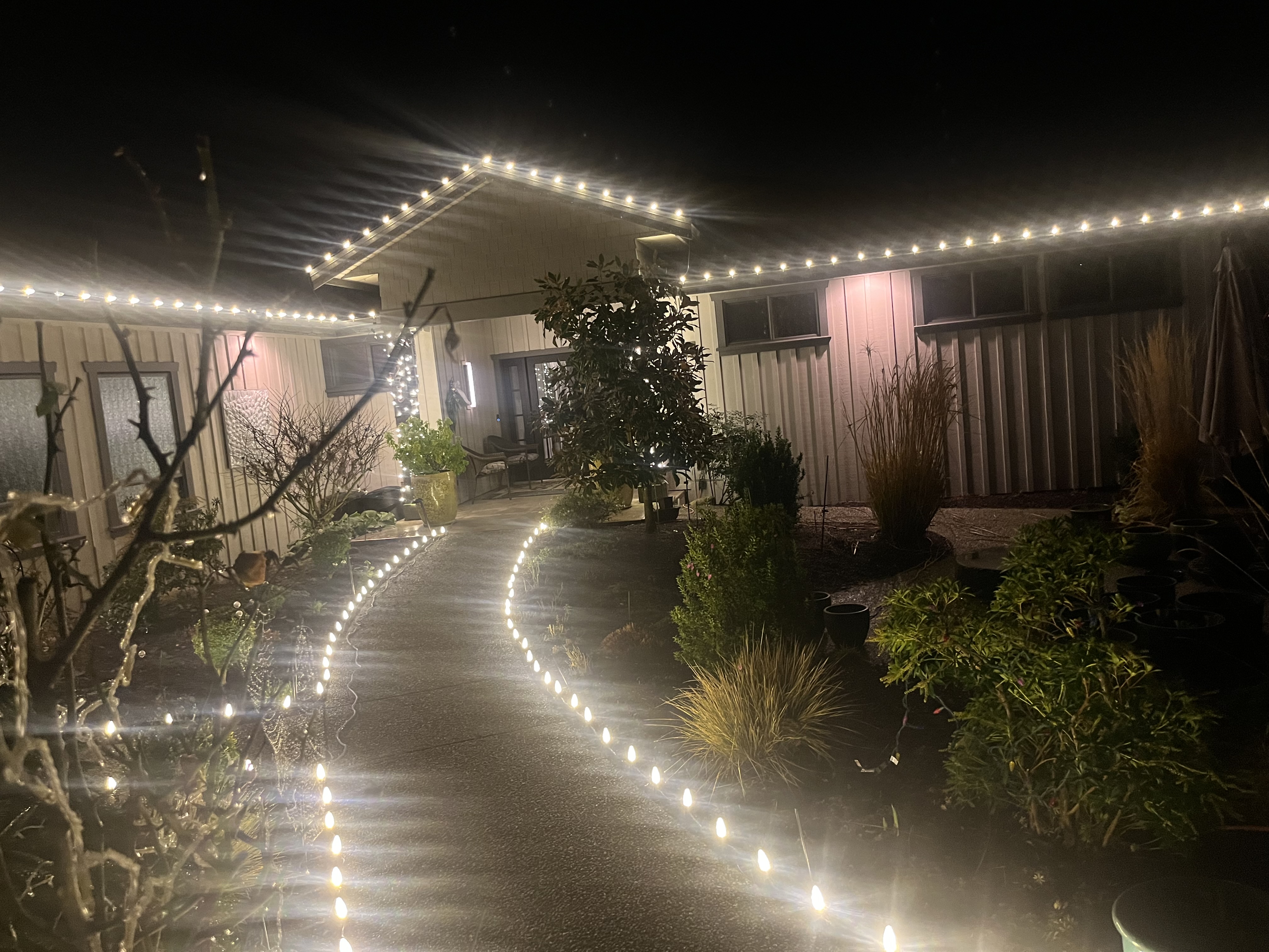 Warm white Christmas lights West Sechelt BC